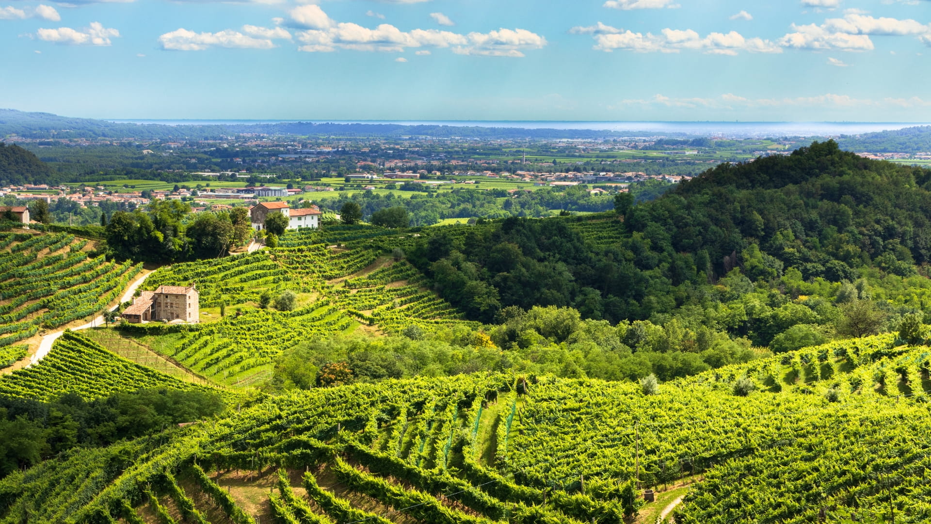 prenota_colline veduta nelle colline del prosecco conegliano veneto